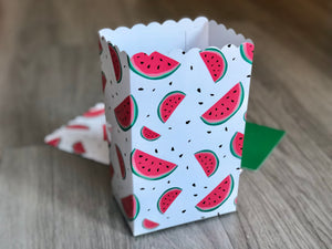Watermelon Favor Boxes / Treat Boxes / Popcorn Boxes