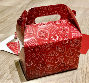 Red Western Bandana Pattern Boxes / Treat Boxes / Gift Boxes